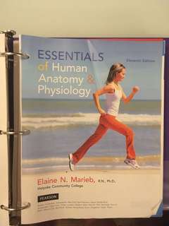 Essentials of human anatomy and physiology 11th edition