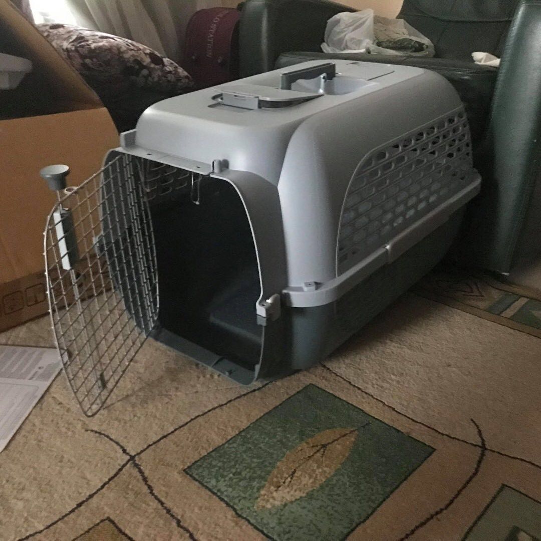 Hagen pet top carrier