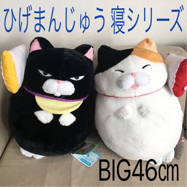 kuromame cat