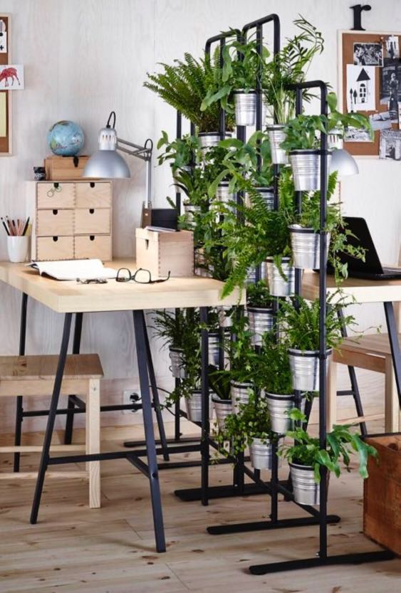 Ikea Plant Stand / Room Divider / Herb Screen, Furniture & Home Living