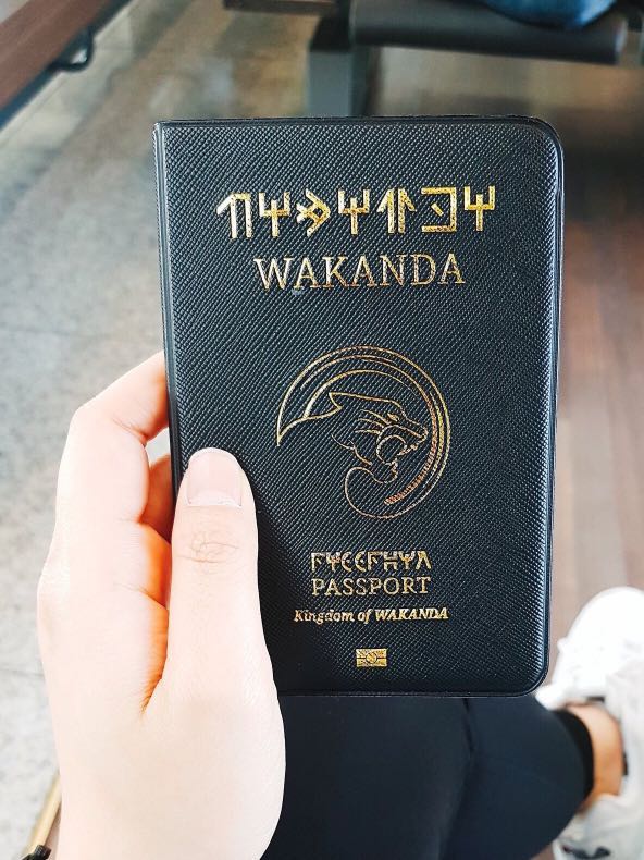buy passport case