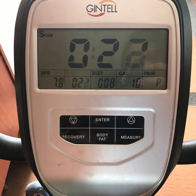 Original Gintell Recumbent Bike, Sports 