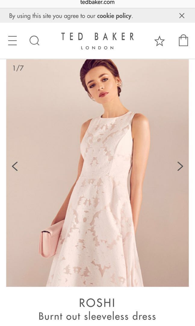 Ted Baker Roshi