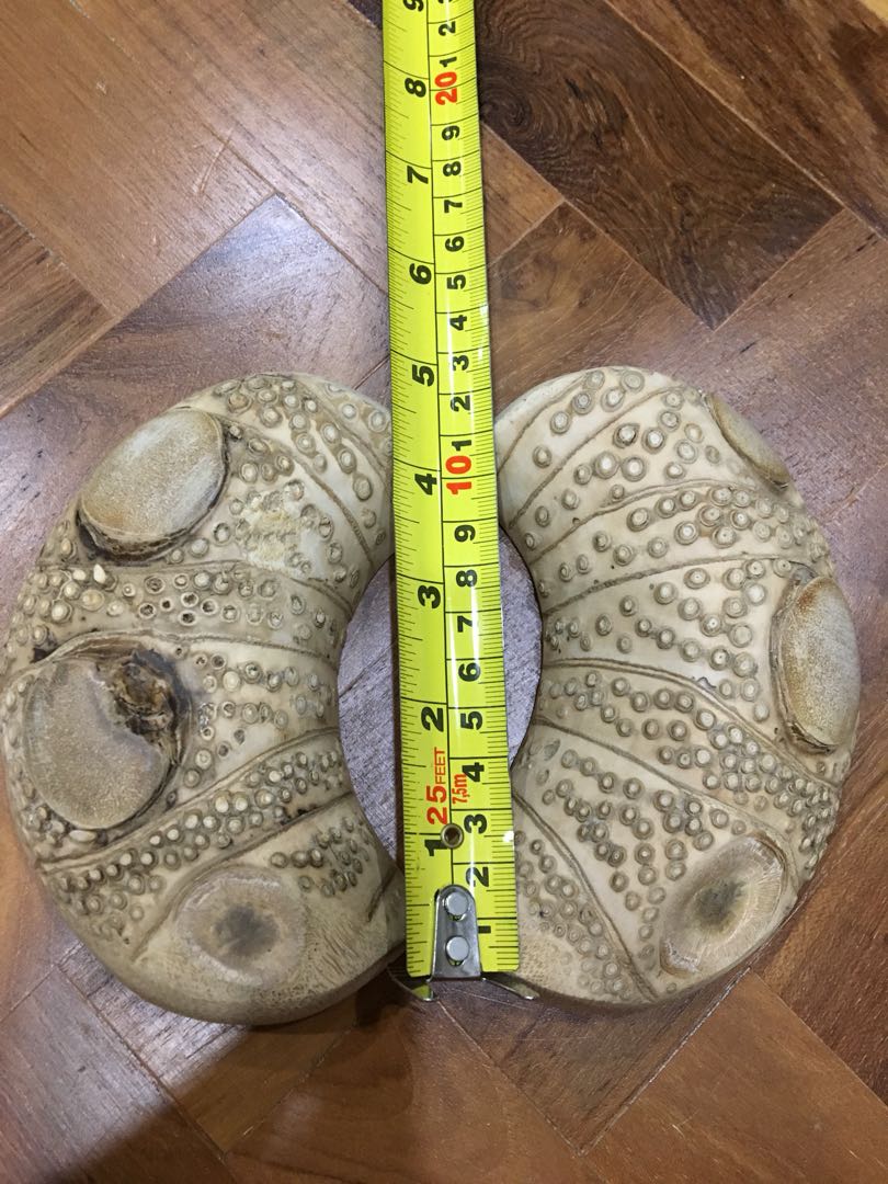 六星竹头聖杯 Hobbies Toys Collectibles Memorabilia Religious Items On Carousell