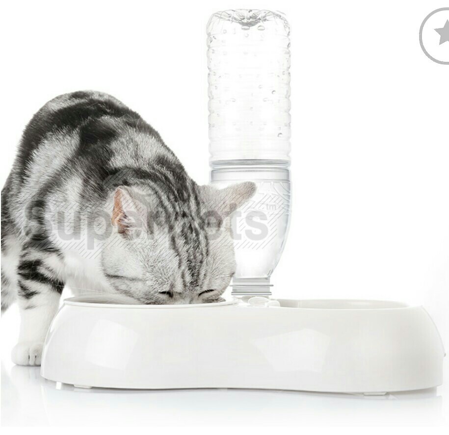 Self watering sales cat bowl