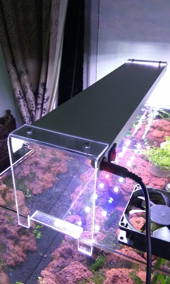 Lampu Led Diy Aquascape Aquarium Perlengkapan Hewan Aksesoris Hewan Di Carousell