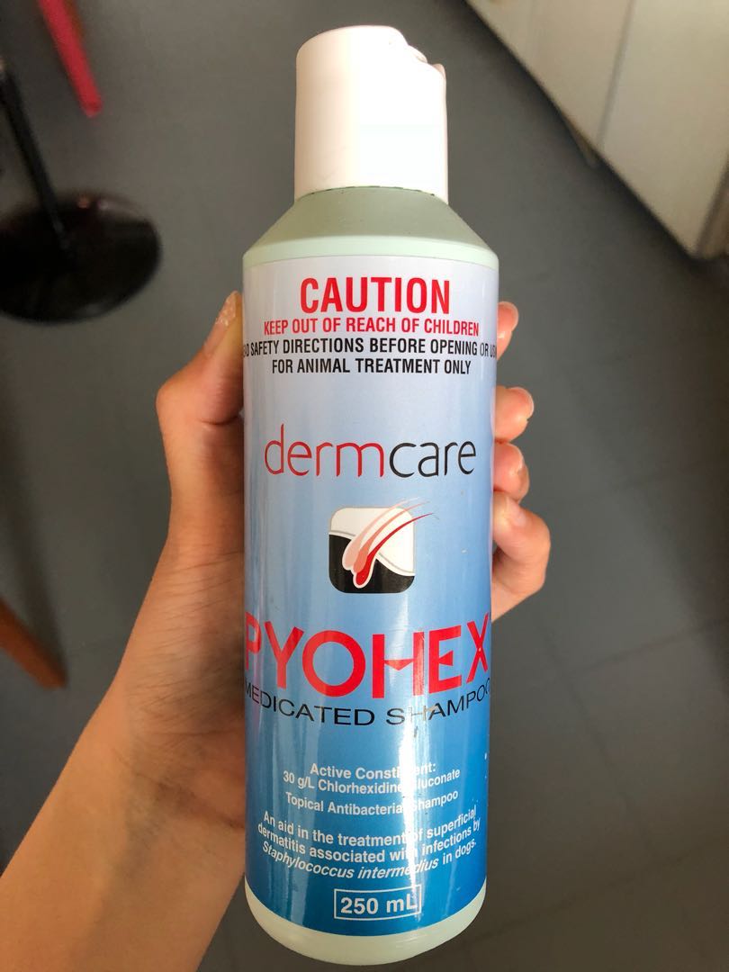 pyohex dog shampoo