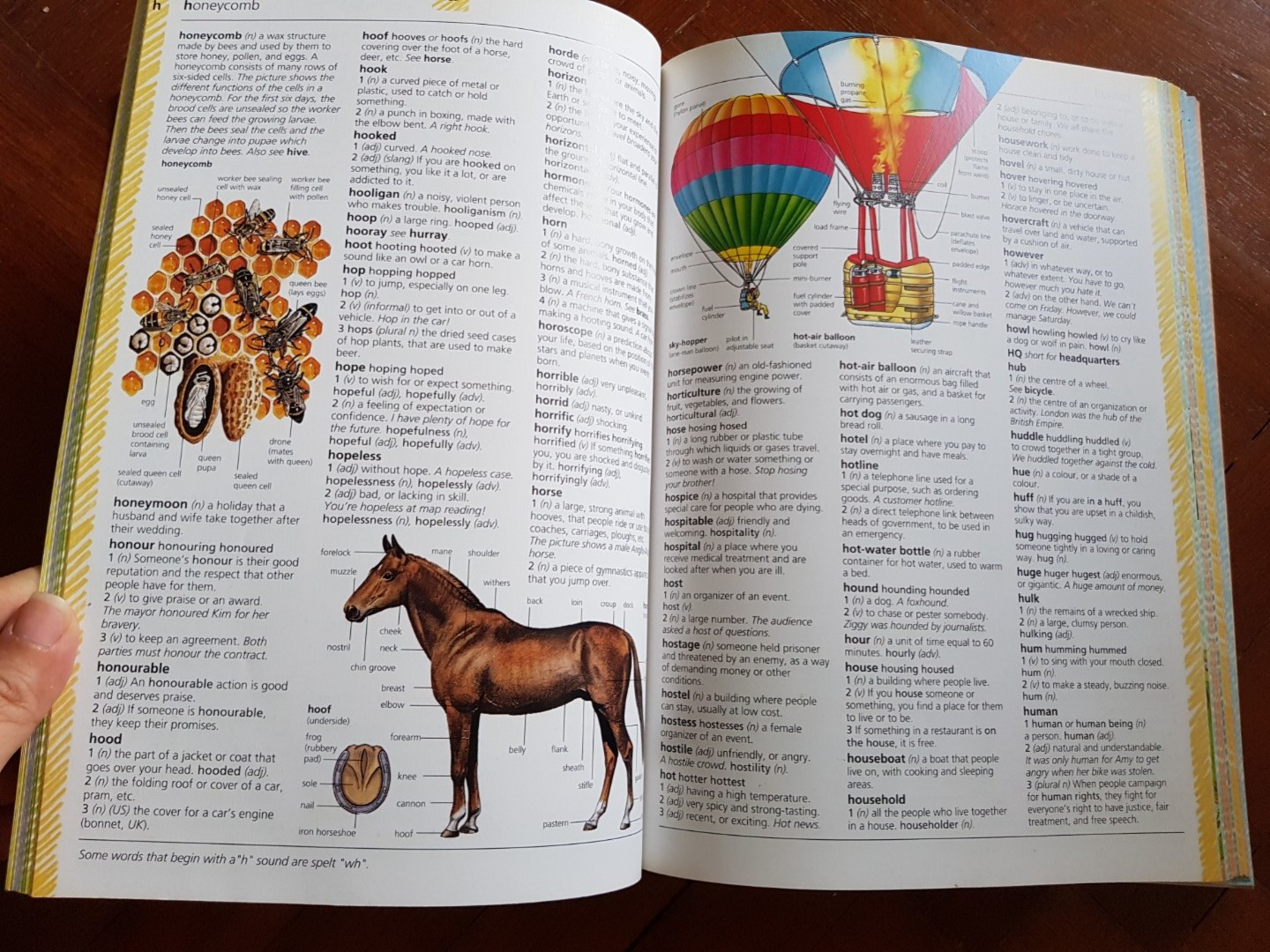 The usborne school illustrated dictionary and thesaurus, Hobbies & Toys
