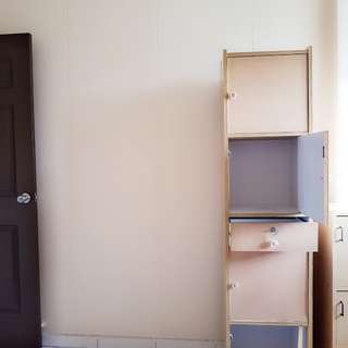 4 Pine Dust Wood Cabinets + 1 Locker Drawer.
