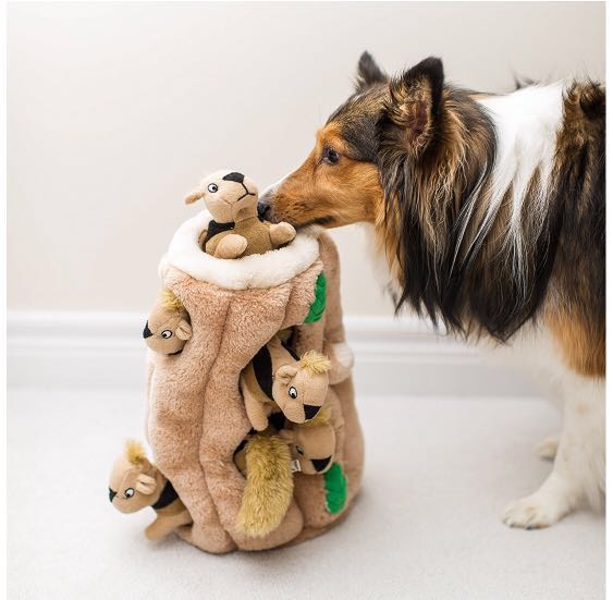 BRAND NEW GINORMOUS Outward Hound Hide A Squirrel Dog Squeaker Toy Pet Supplies Homes Other Pet Accessories on Carousell