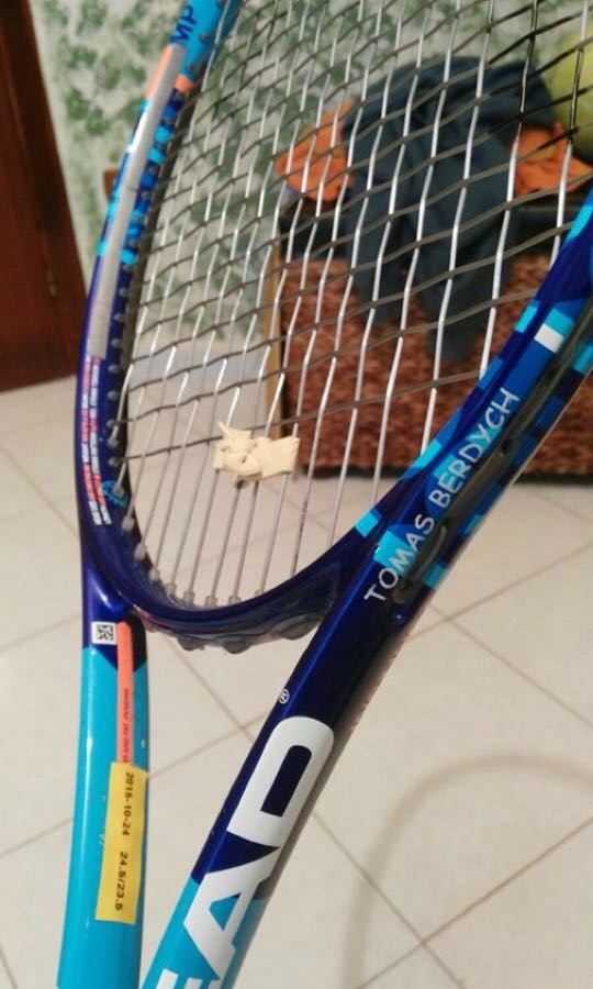 tomas berdych racket