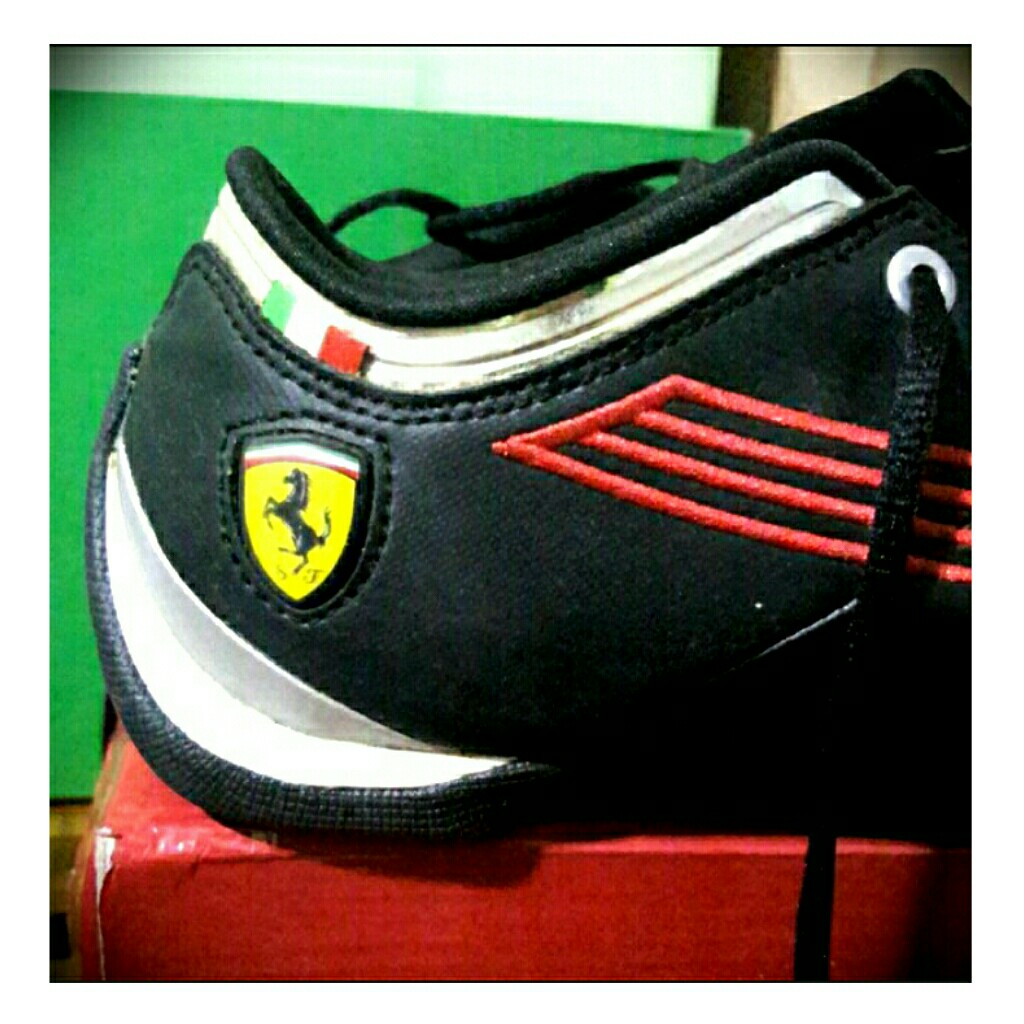 Puma riding shoes cheap