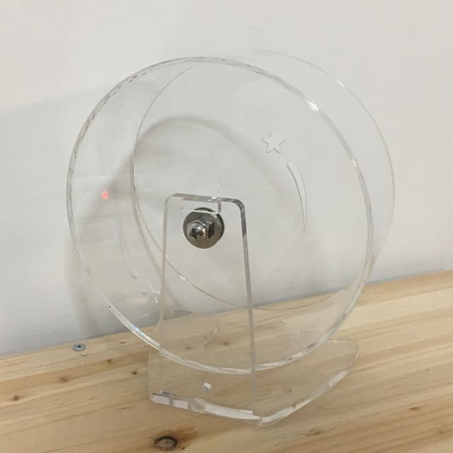 ZOOG Transparent Hamster Running Wheel, Pet Supplies, Homes & Other Pet