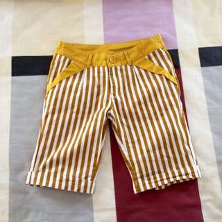 Mustard Colour Berms