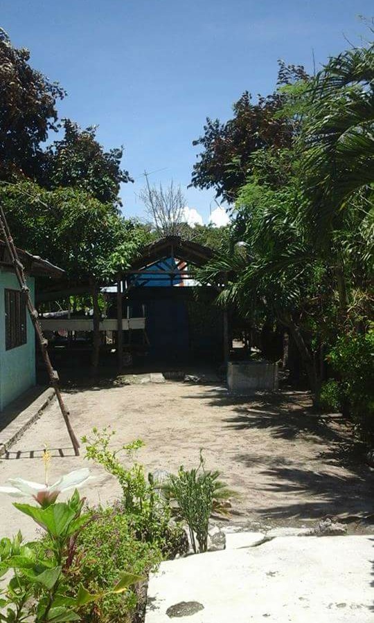 rush sale! price drop!! house n lot in santa fe, bantayan isl