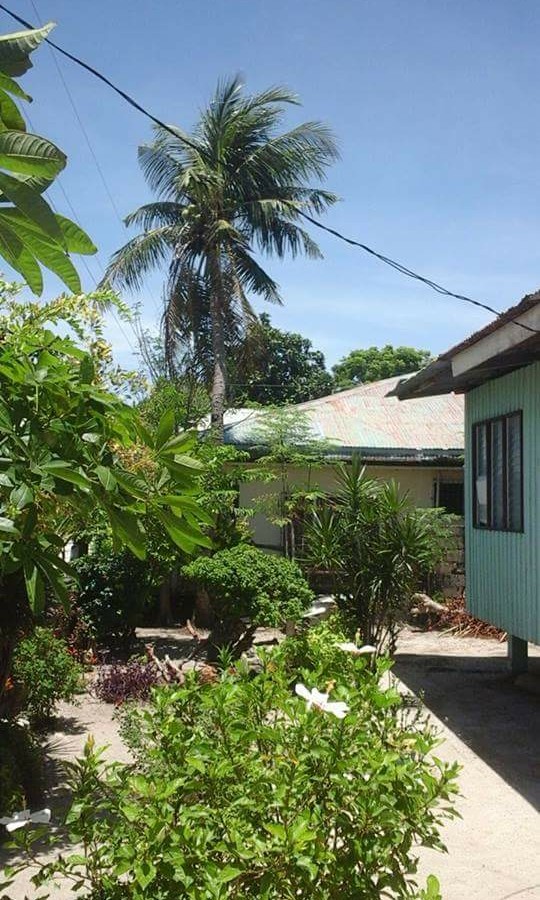 rush sale! price drop!! house n lot in santa fe, bantayan isl