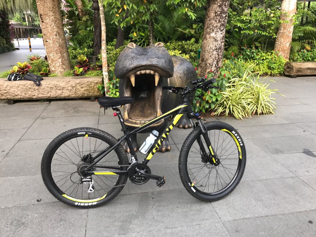 Mountain bike GIANT TALON 2 2016 Sports Equipment Bicycles Parts Bicycles on Carousell