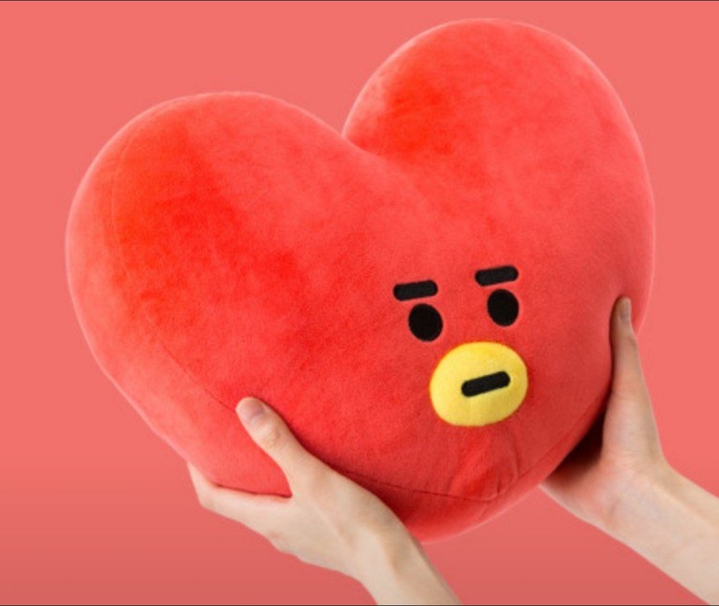 tata plushie bt21