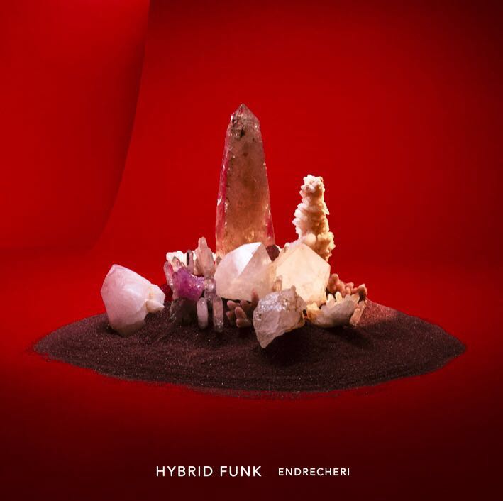 ENDRECHERI 最新專輯連特典「HYBRID FUNK」堂本剛KinKi Kids, 興趣及