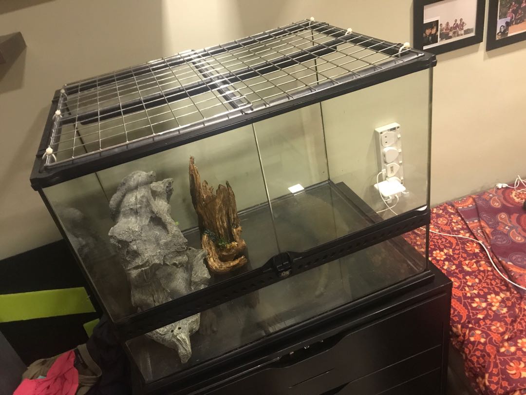 EXO TERRA TANK, Pet Supplies, Homes & Other Pet Accessories on Carousell