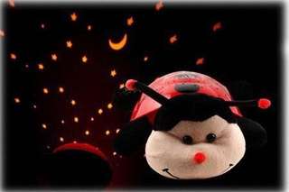 Light up lady bird