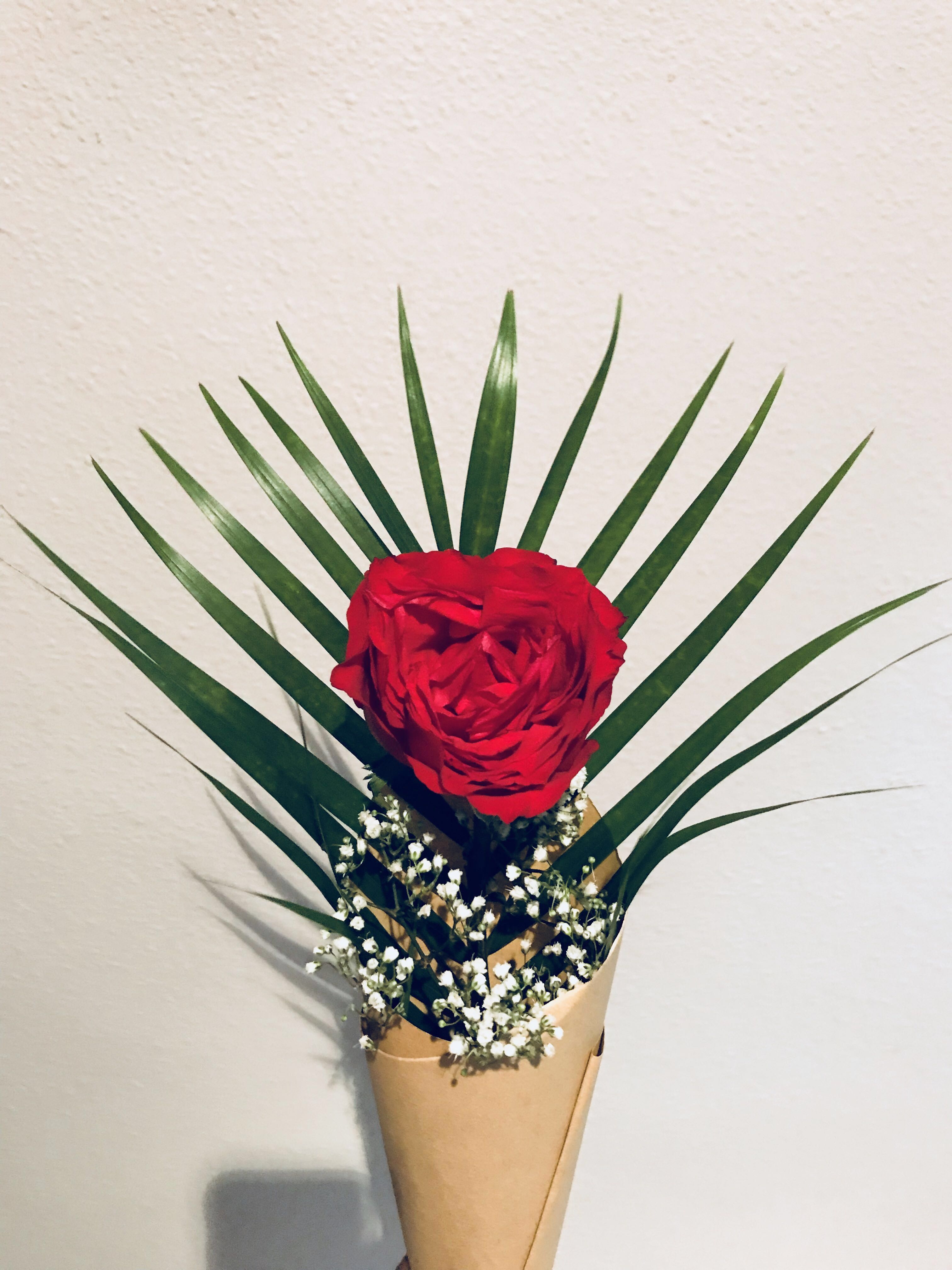 Fresh Rose Flower Bouquet Mother S Day Design Craft Handmade Craft On Carousell