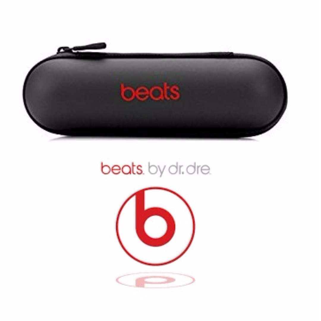 beats speaker case