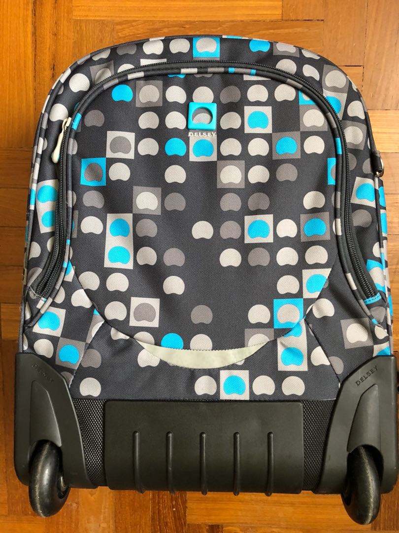 delsey 2 wheel luggage