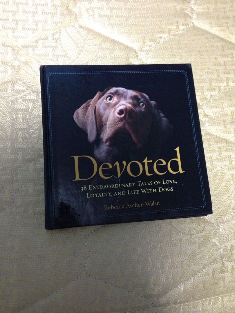 Devoted Extraordinary Tales Of Love Loyalty And Life With Dogs By Rebecca Ascher Walsh Books Books On Carousell