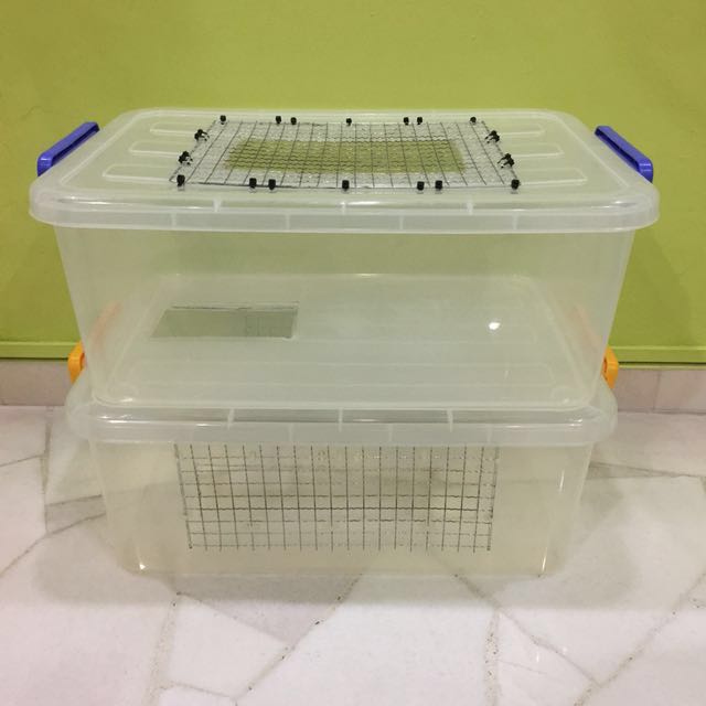 Hamster Condo Cage Pet Supplies Homes Other Pet Accessories on Carousell