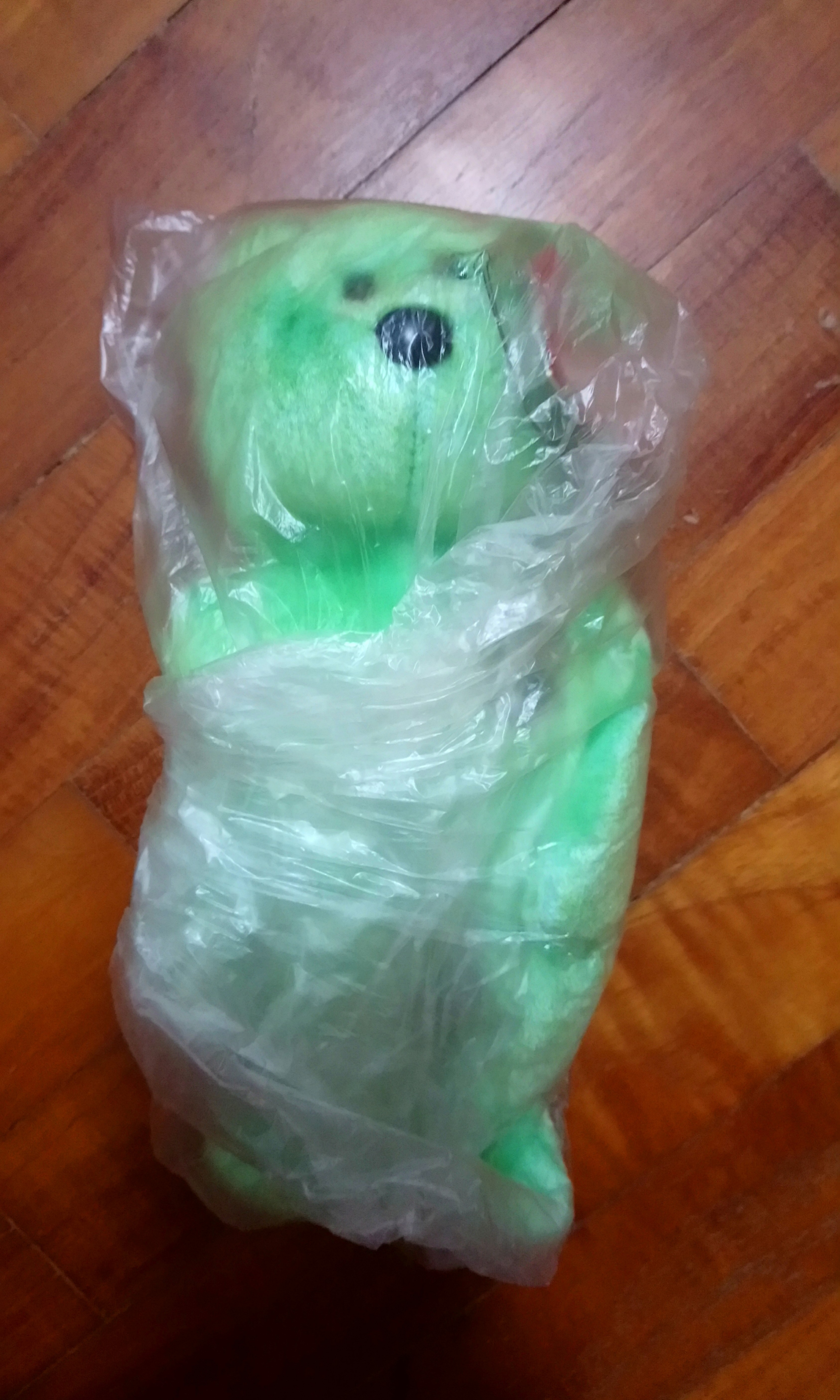 beanie baby plastic tag covers