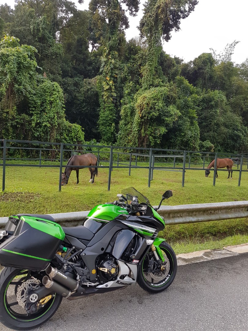 Puig z1000sx sale