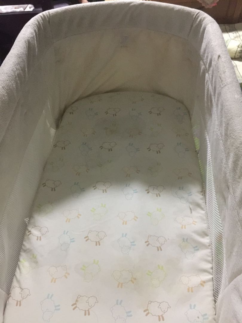 My little lamb bassinet new arrivals