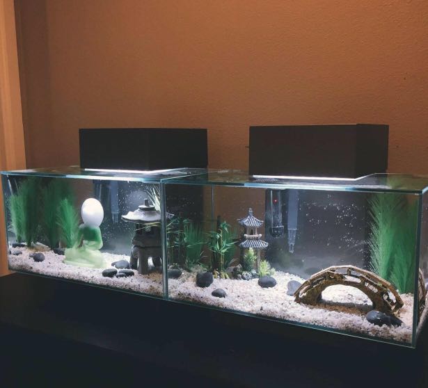 Fluval Edge Pet Supplies For Fish Tanks On Carou Fluval Edge Pet Supplies For Fish