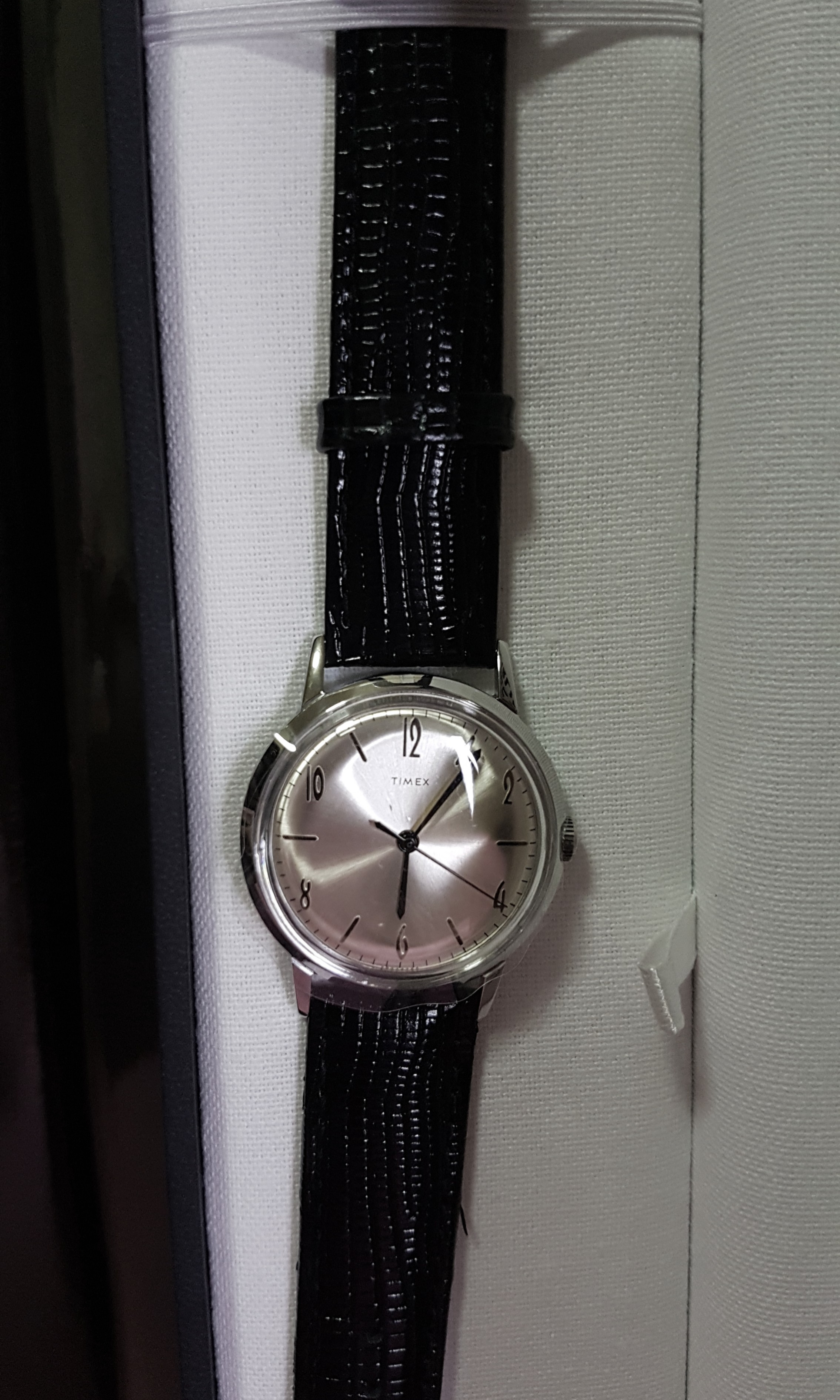 new timex marlin