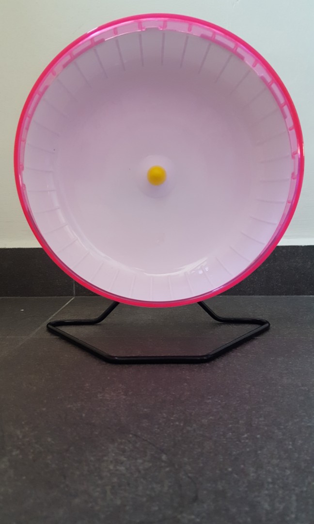 25 Cm Hamster Wheel Large Size For Syrian Hamsters Pet Supplies On Carousell