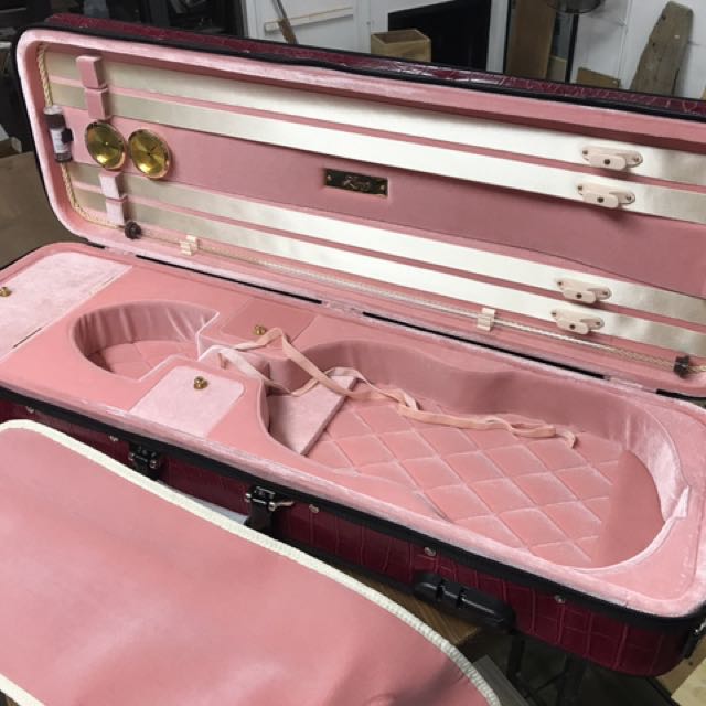 Lang violin store case