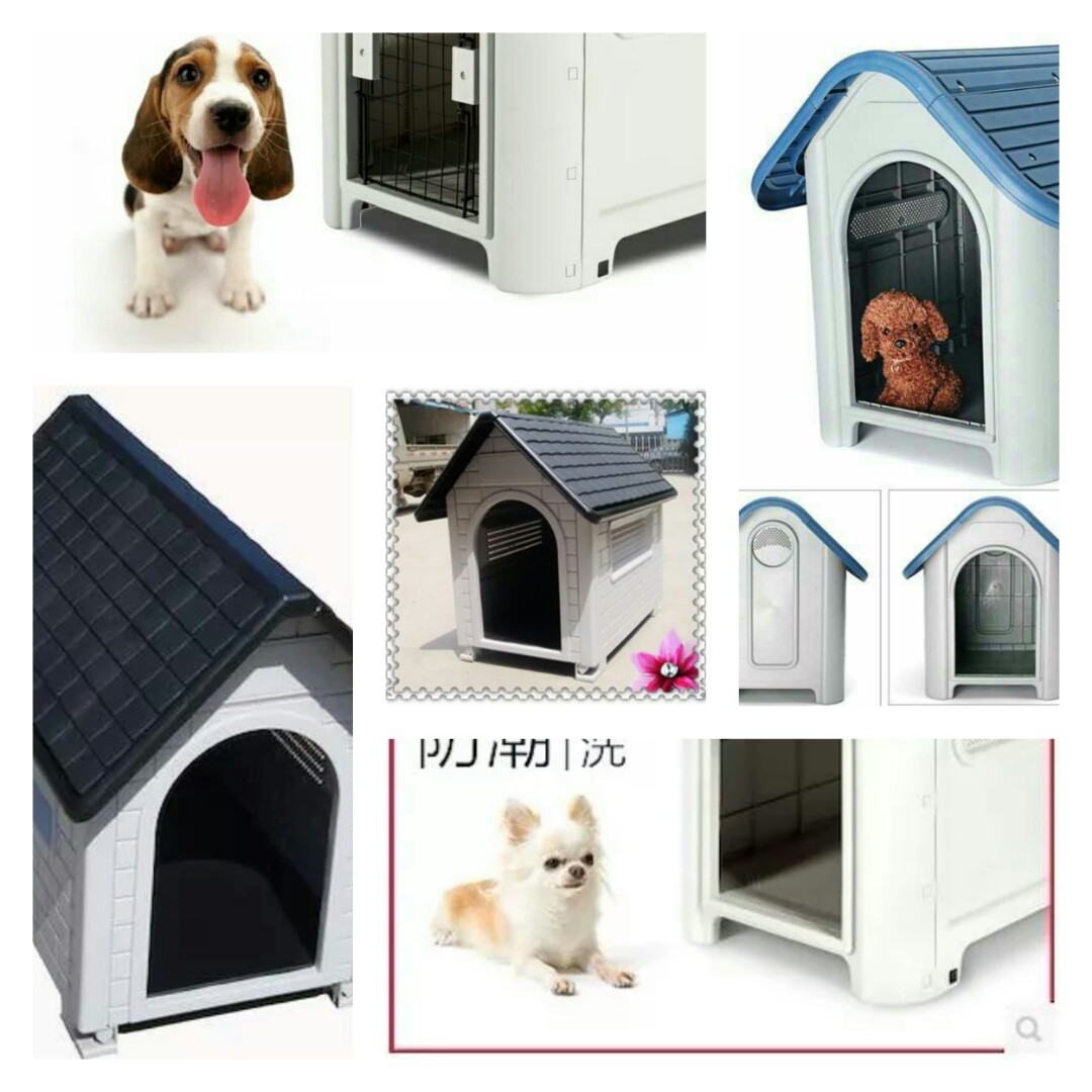 Where Can I Buy A Dog House Near Me - House Poster