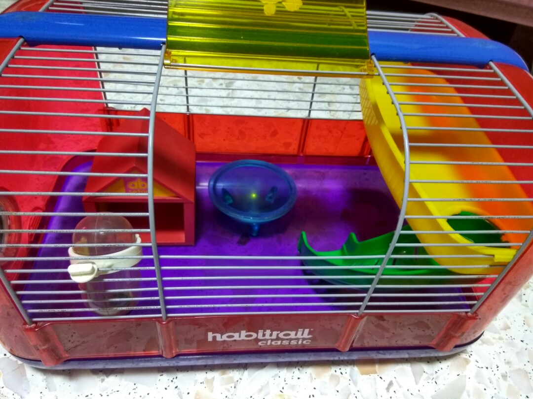 used hamster cages