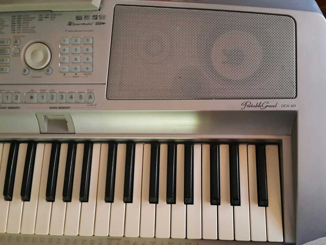 Yamaha Portable Grand DGX305, Hobbies & Toys, Music & Media, CDs