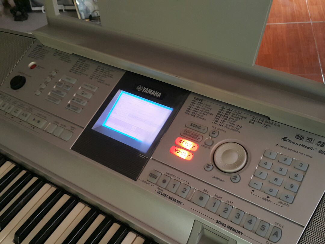 Yamaha Portable Grand DGX305, Hobbies & Toys, Music & Media, CDs
