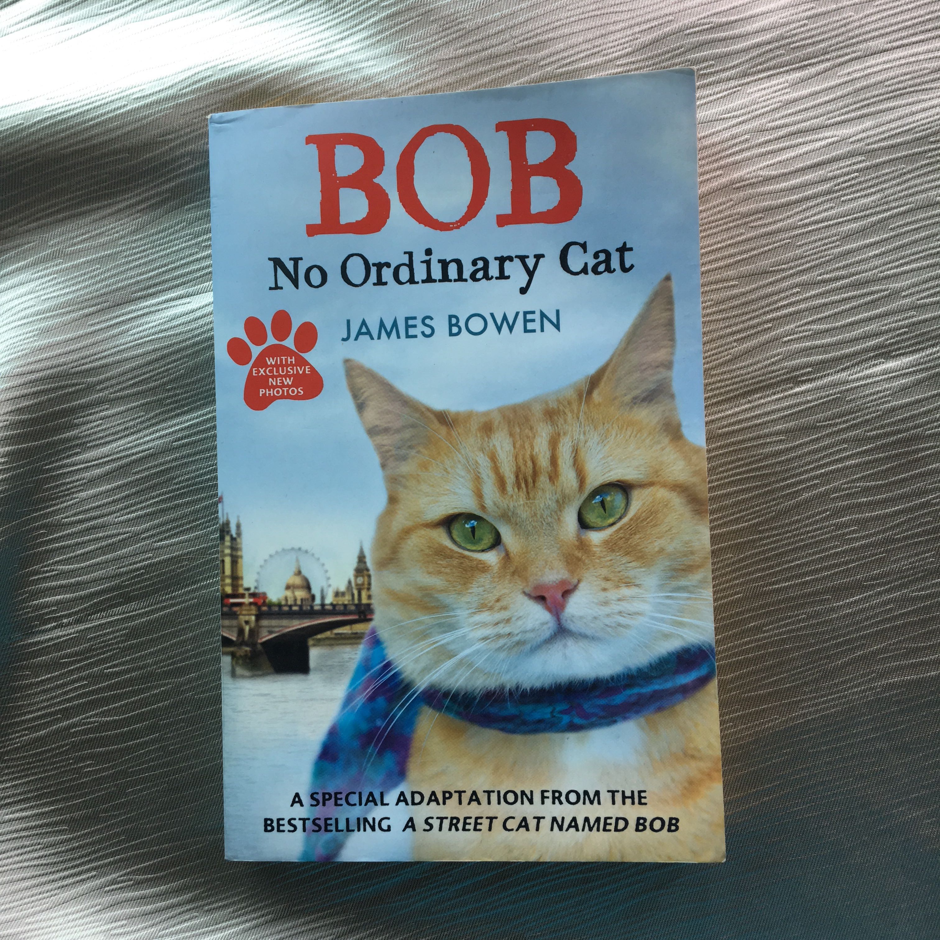 Bob No Ordinary Cat Books Stationery Books On Carousell