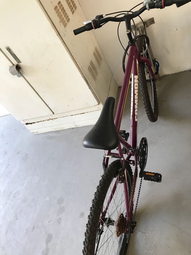For sale used bicycle with flat tires. Sports Equipment Bicycles Parts Bicycles on Carousell