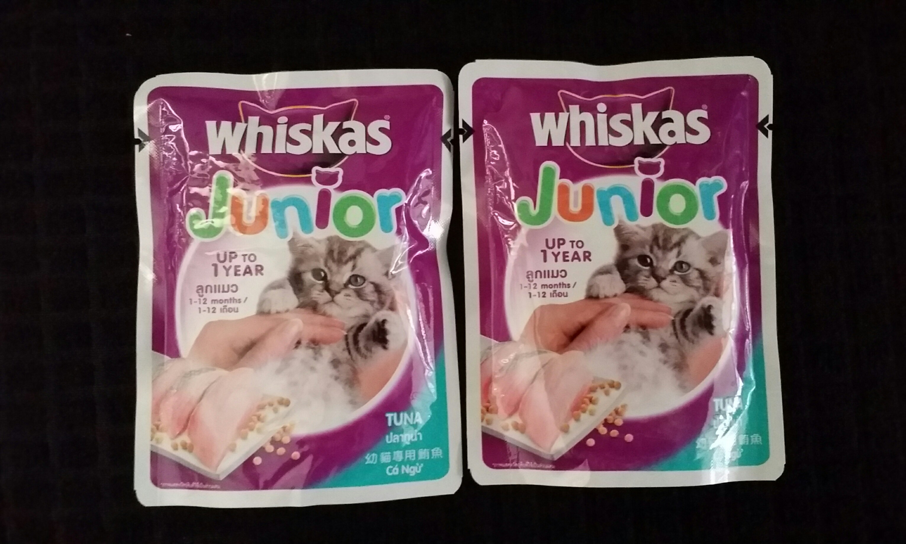 FREE wetfood for Kitten! FOC, Pet Supplies, Pet Food on Carousell