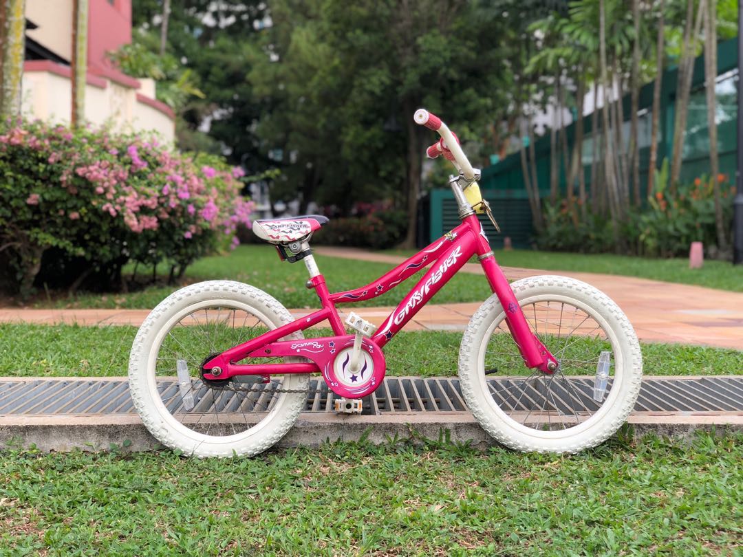 Gary fisher kids bike 2025