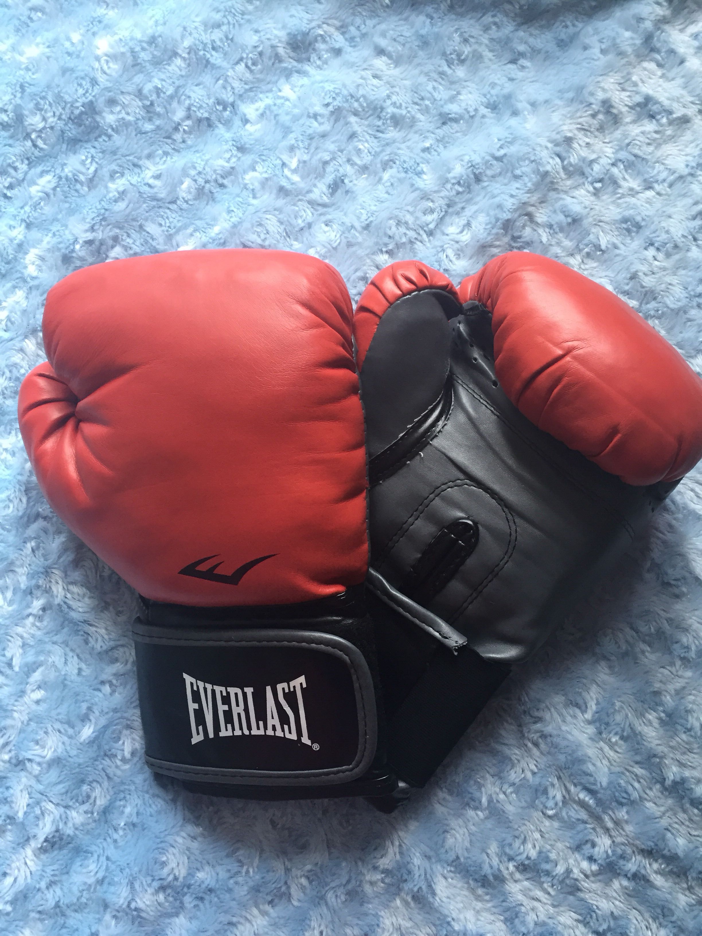 Everlast classic boxing training gloves Clearance