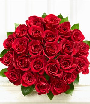 24 Red Roses Bouquet Flower Bouquet Roses Bouquet Anniversary
