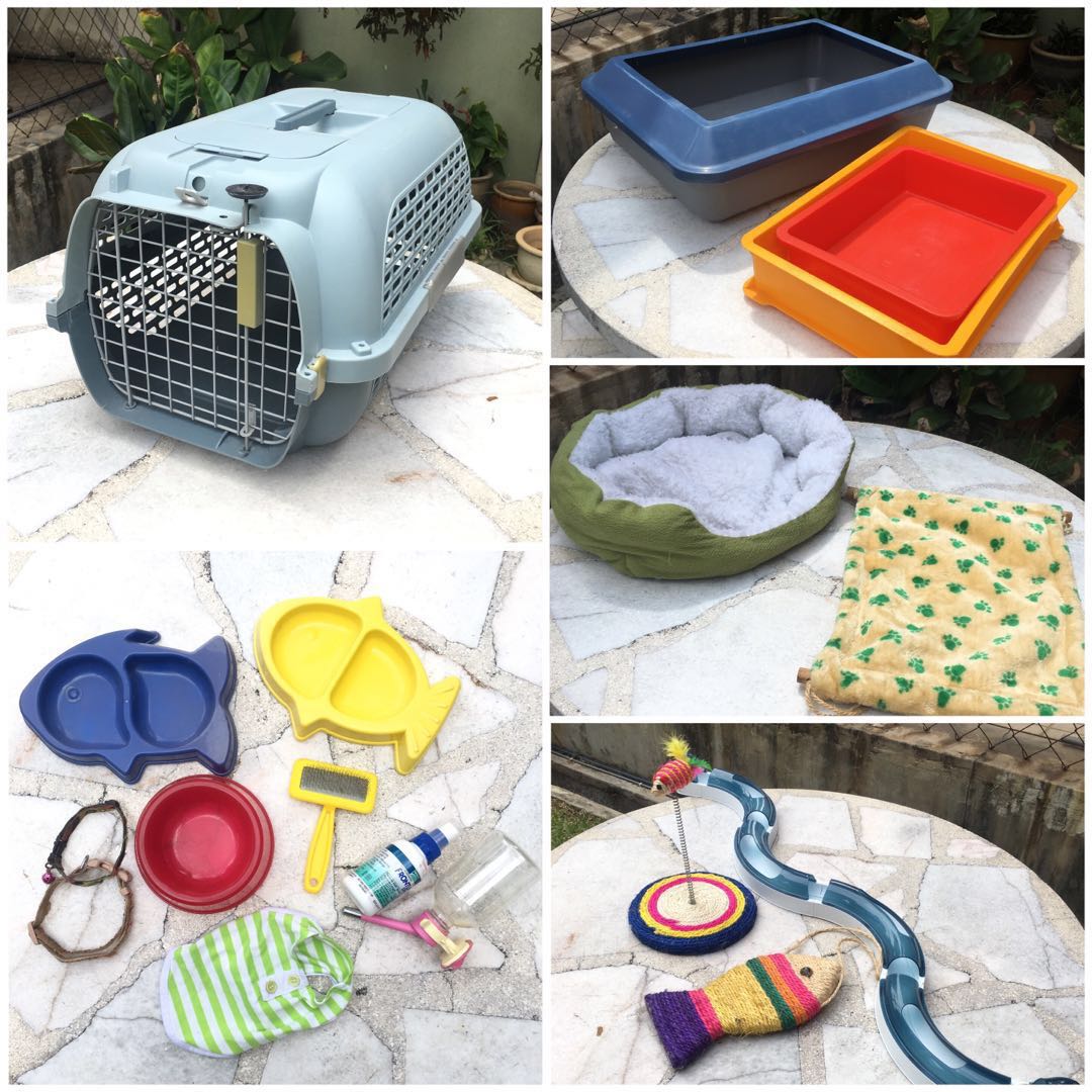 Barang Kucing Murah, Pet Supplies, Pet Accessories on Carousell