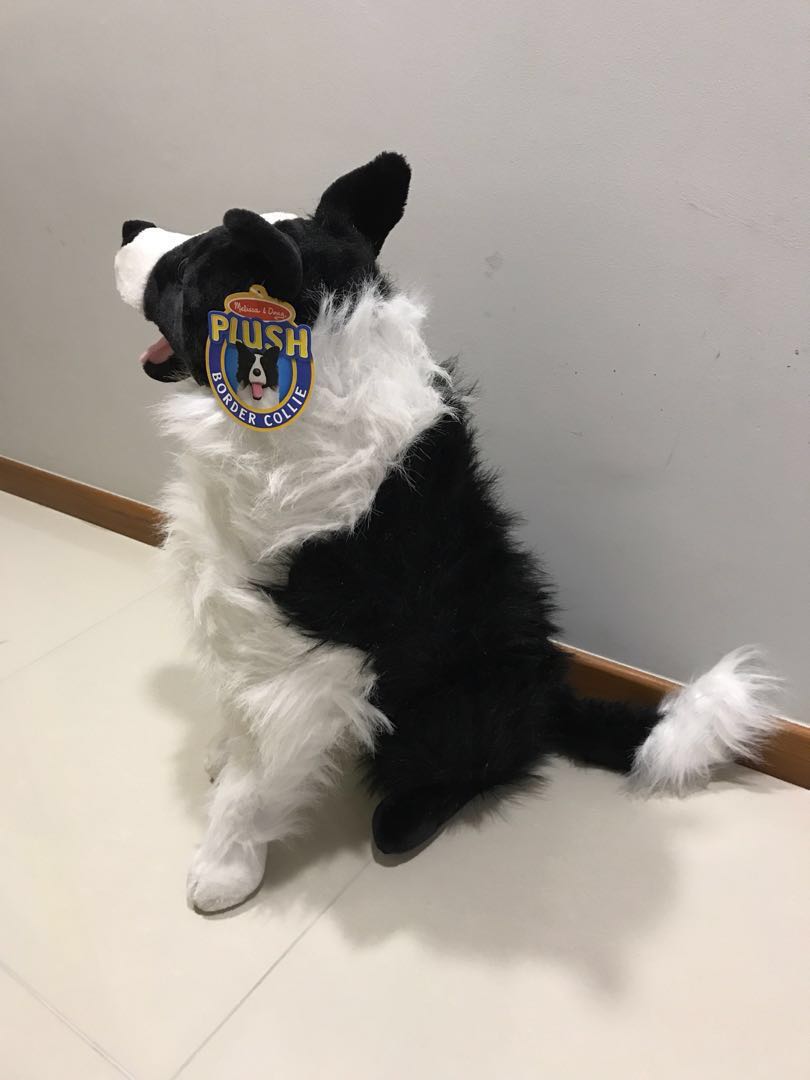 Melissa Doug Border Collie Soft Toy dog Hobbies Toys Toys Games on Carousell
