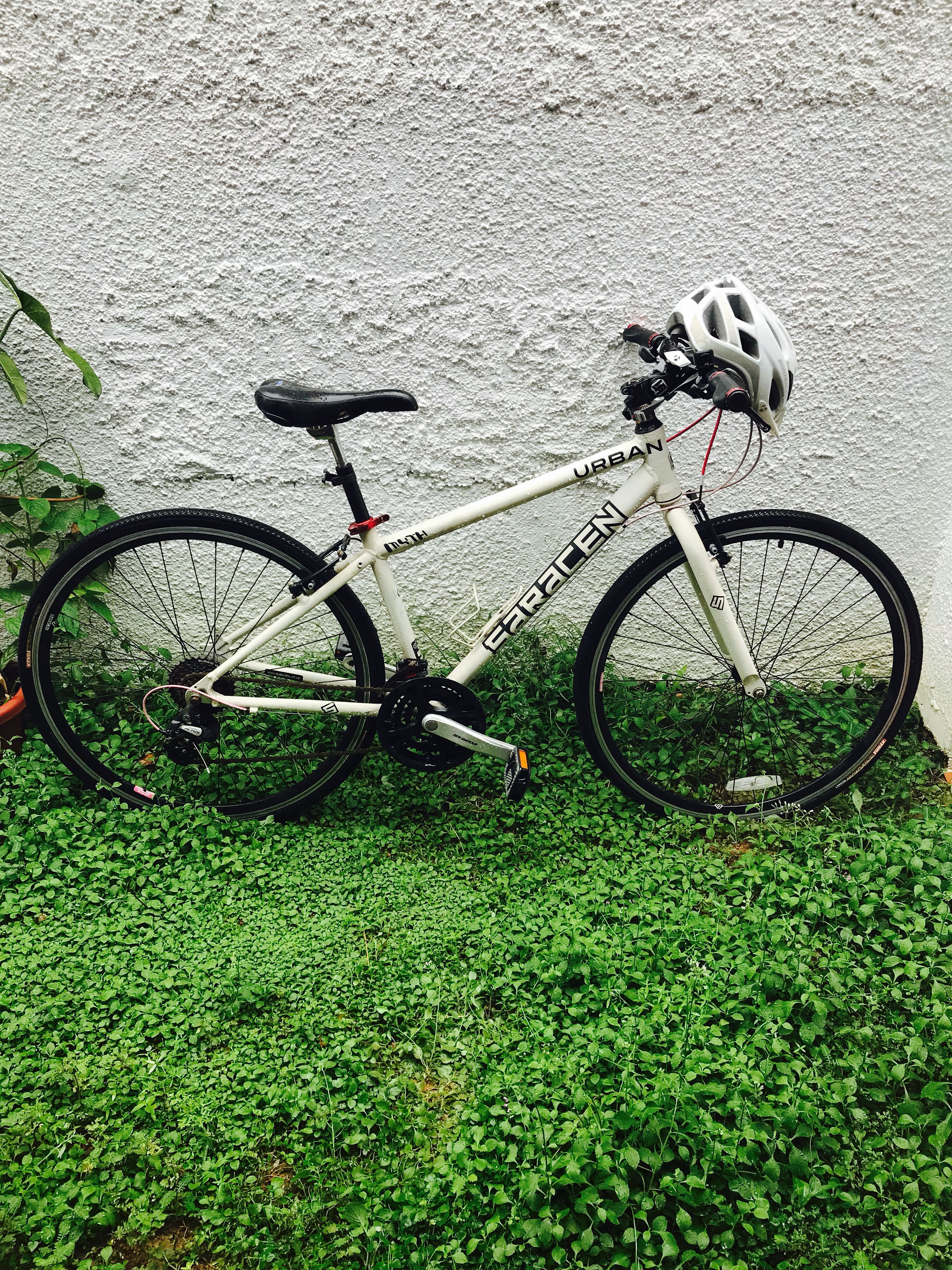 Saracen urban myth deals